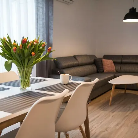 Apartament F&J Stary Toruń Zewnętrze zdjęcie