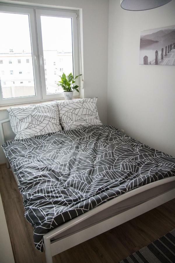 Apartment F&j Torun